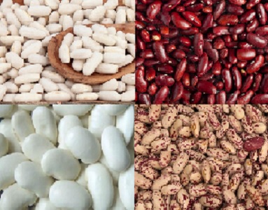 Fasola Natur Product prowadzi sprzedaż wysokiej jakości fasoli różnych odmian