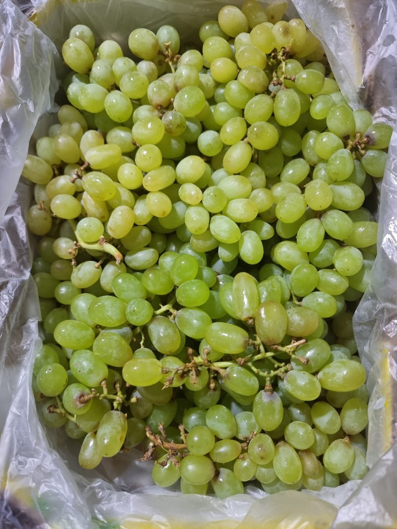 Sprzedam Winogron pod Soki, Przetwory, Alkohole itp