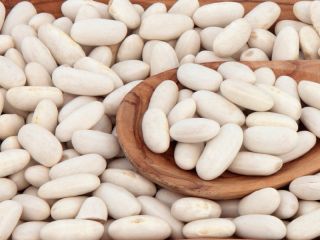 Fasola Natur Product prowadzi sprzedaż wysokiej jakości ziaren w