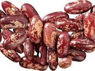Sprzedajemy fasolę wysokiej jakości z dostawą na terenie całej