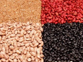 Fasola Natur Product prowadzi sprzedaż wysokiej jakości ziaren w