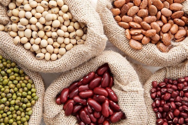 Ukraińska firma Beans Natur Product zajmuje się sprzedażą fasoli różnych odmian