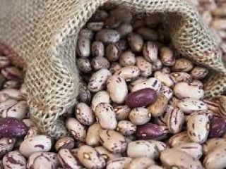 Ukraińska firma Beans Natur Product sprzedaje fasolę w różnych