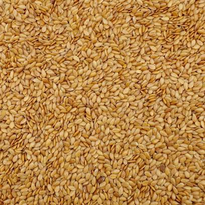 Sprzedaż produktów zbożowych pochodzenia ukraińskiego w dużych ilościach : kukurydza 11 35 zł/t, słonecznik 2732 zł/t , pszenica 2 kl 1625 zł/t , len olijny