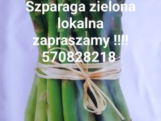 Sprzedam świeże szparagi zielone