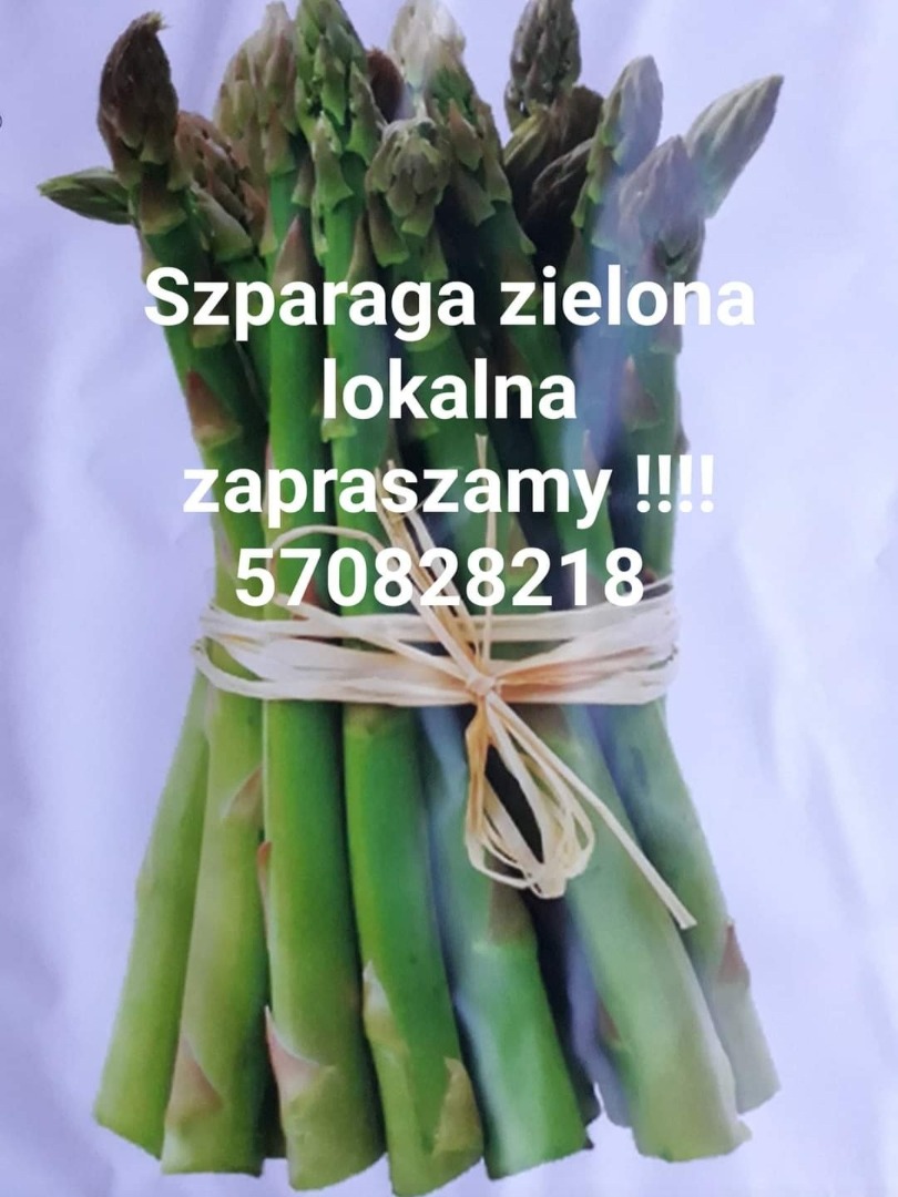 Sprzedam świeże szparagi zielone