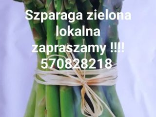 Sprzedam szparagi zielone z własnego gospodarstwa. Zapraszamy do zakupu