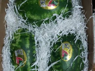 Mamy na sprzedaż arbuza import super jakość