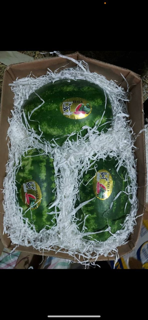 Mamy na sprzedaż arbuza import super jakość