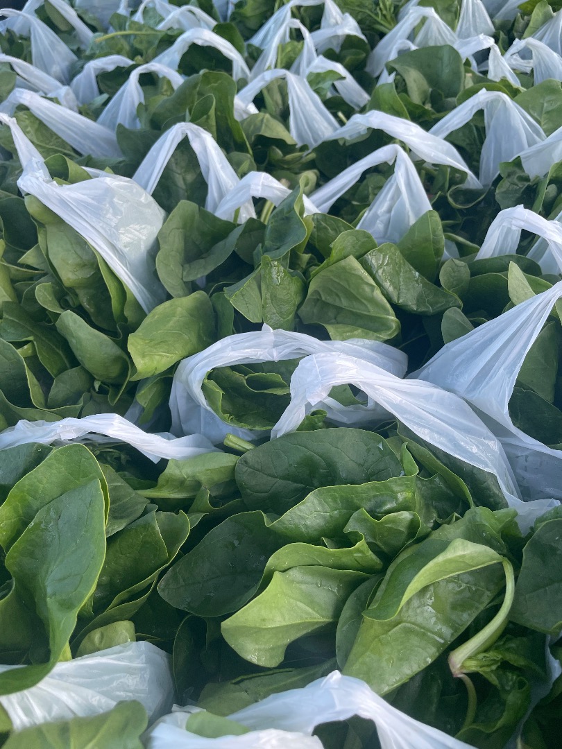 Sprzedam szpinak własnej produkcji ekologiczny , niepryskany