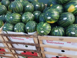 Świeży arbuz i melony.