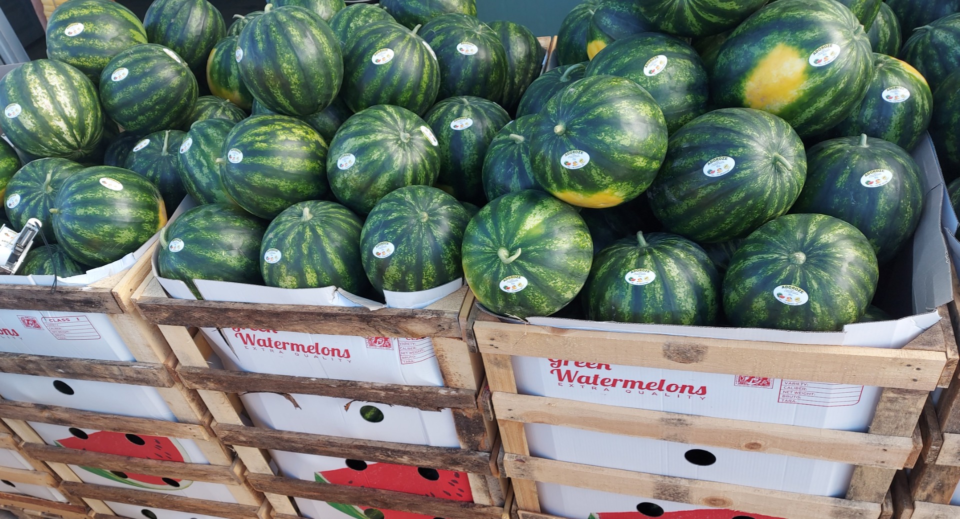 Świeży arbuz i melony