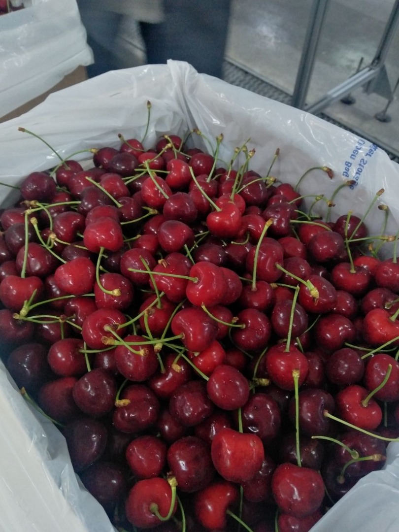 Drodzy Przyjaciele, oferuję Wam świeżą wiśnię w cenie porównawczej