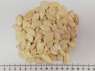 Sprzedam - PESTKI DYNI w łupinie Opakowanie: worek 25