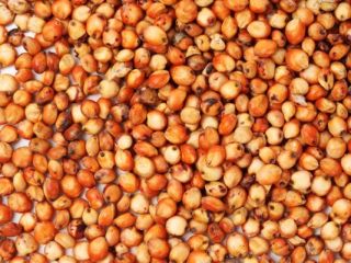 Sprzedam kukurydzę, rzepak, sorgo, słonecznik od 20 ton