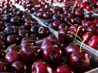 Nawiążemy współprace z zakładami które wykonują usługę drylowania wiśni