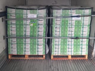 AWOKADO BIO produkt odmiana: HASS pochodzenie: Meksyk ręcznie zbierane