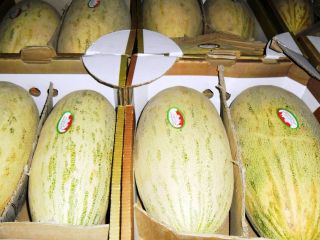 Drodzy przyjaciele, proponuję Wam słodkiego melona z Uzbekistanu w