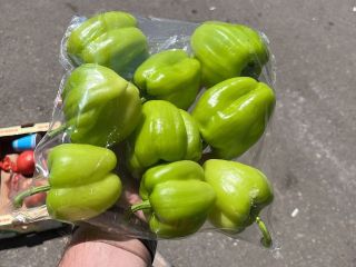 Papryka zielona i czerwona kraj pochodzenia Iran, Turcja, Uzbekistan