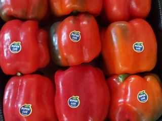 Papryka czerwona KALIFORNIA. - 8.00 PLN/ KG Papryka czerwona
