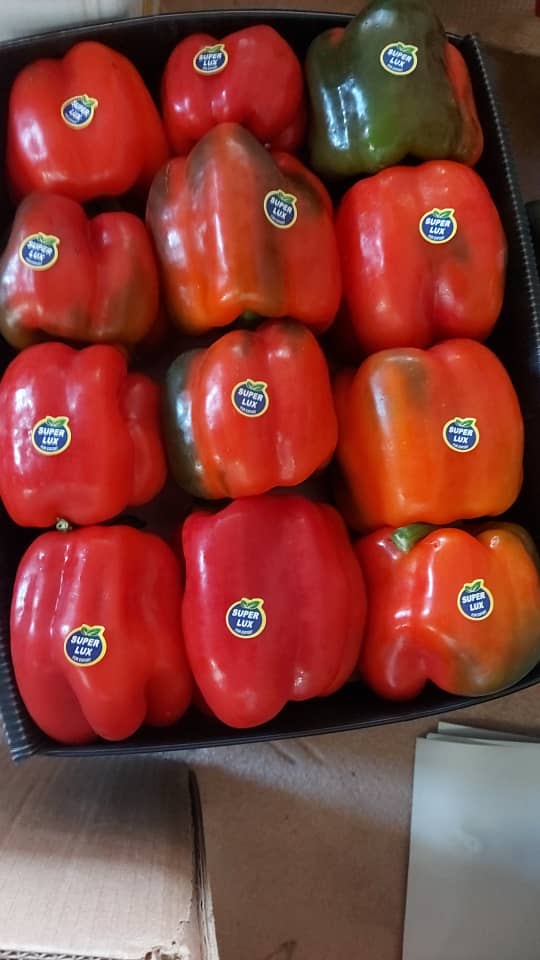 Papryka czerwona KALIFORNIA