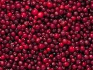 Mrożona czerwona porzeczka (żurawina). Klasa A Aronia czarna dziko