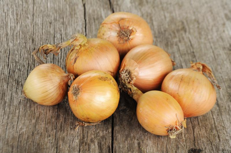 Kupię cebulę 20-30 ton miesięcznie