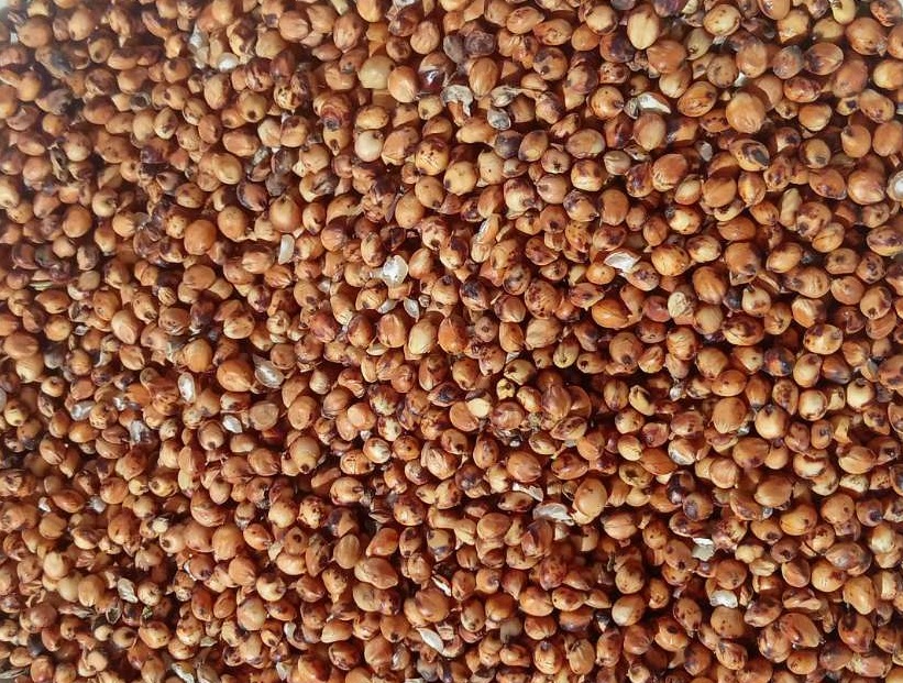 Oferujemy sorgo czerwone, 232 m, zlokalizowane w południowo-zachodniej części regionu Odessy