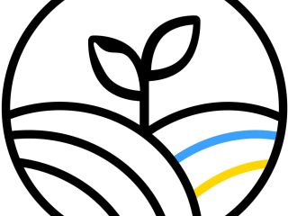 Towar jest importowany do Rumunii Składowanie w Silo Pasze