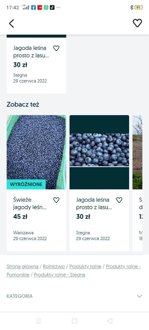 Jagoda leśna ręcznie zbierana