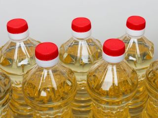 Oferujemy bezpośredni produkt fabryczny. Pochodzenie północnoeuropejskie. Produkt 100% Nasiona