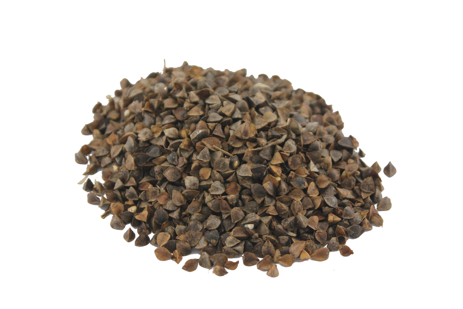 Oferujemy wysokiej jakości zboża (Lucerna, Kostrzewa, SainfoinЮ, Życica, Koniczyna, Facelia, Ostropest plamisty, Tymotka pospolita, Rzodkiew, Gorczyca, Len