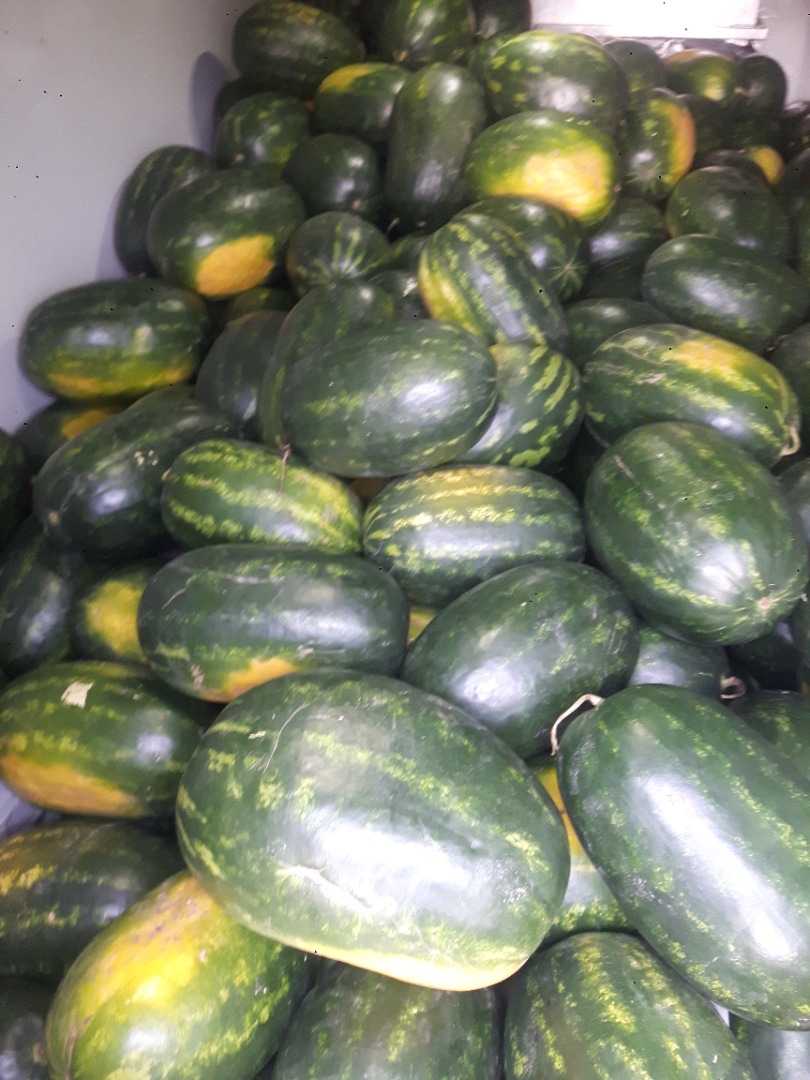 Pierwsza klasa węgierskich melonów w sprzedaży od 10kg do 18kg! Jestem również dostępny przez WhatsApp, e-mail i Viber!