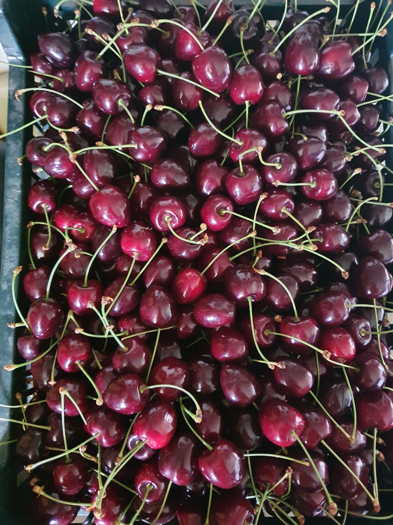 Sprzedam czereśnie odmiana Wanda