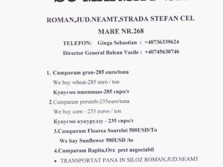 SC MARSAT SA skupuje zboża rzepakowe (pszenica, jęczmień, kukurydza),