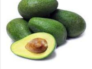 Warzywa owoce. Sprzedam AVOCADO HISZPANIA, koń I, świeże, owoce