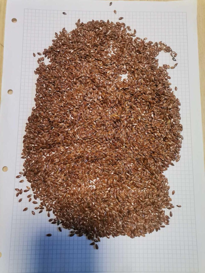 Oferujemy do sprzedaży na Ukrainie własną produkcję kukurydzy