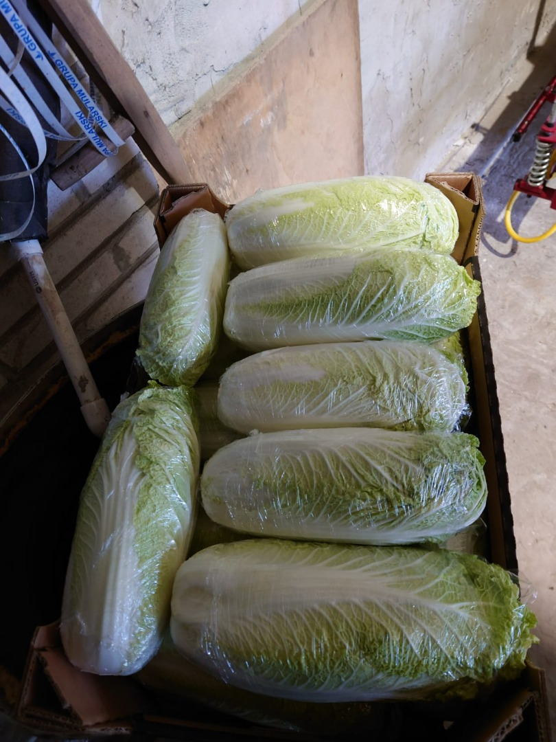 Witam