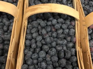 Witam, sprzedam świeżo zbierana borówkę amerykańska . Owoce duże