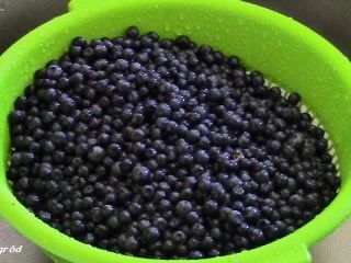 Sprzedam czyste jagody w okolicach Ostrołęki możliwość dowozu. Cena