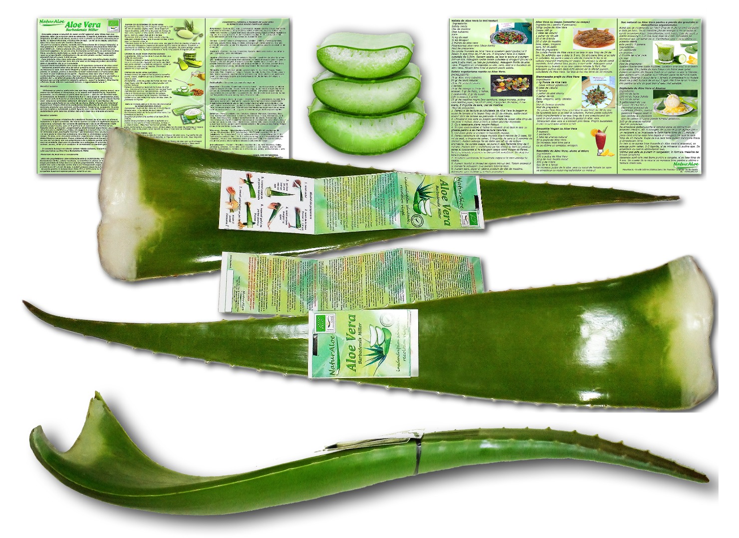 Organiczne liście Aloe Vera do spożycia i preparatów kosmetycznych opracowane w domu przez kupującego