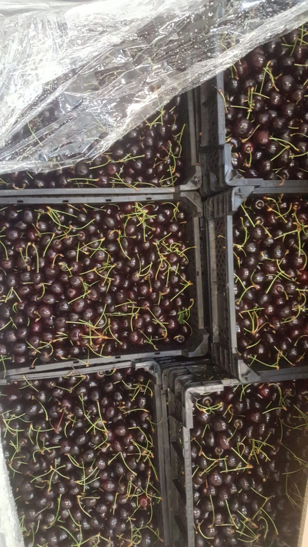 Sprzedam czereśnię : Staccato jasna oraz kordia ciemna hurtowe ilości - chłodnia , 22+ plastik 4,5kg cena do uzgodnienia po obejrzeniu towaru