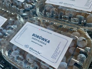 Sprzedam borówkę amerykańską. Świeżo zbierana. Dowozimy towar po ustaleniu