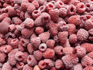 Iqf odmiana malin: Willamette, Jakość: 95/5, Pakowanie: 4×2,5 kg