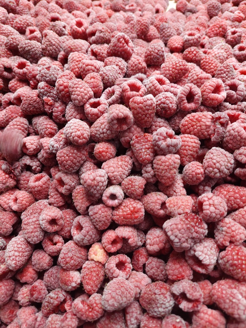 Iqf odmiana malin: Willamette, Jakość: 95/5, Pakowanie: 4×2,5 kg Ilość: 100 ton