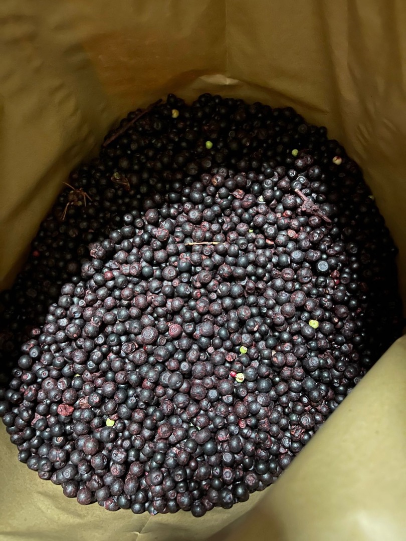 Sprzedam jagode lesne mrozona IQF Klass B upakowana w workach po 25 kg 40 tonn