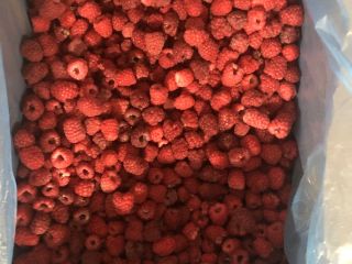 Sprzedam maliny mrożony 80/20 całych. ﻿Opakowanie karton 1x10kg. Dostępne