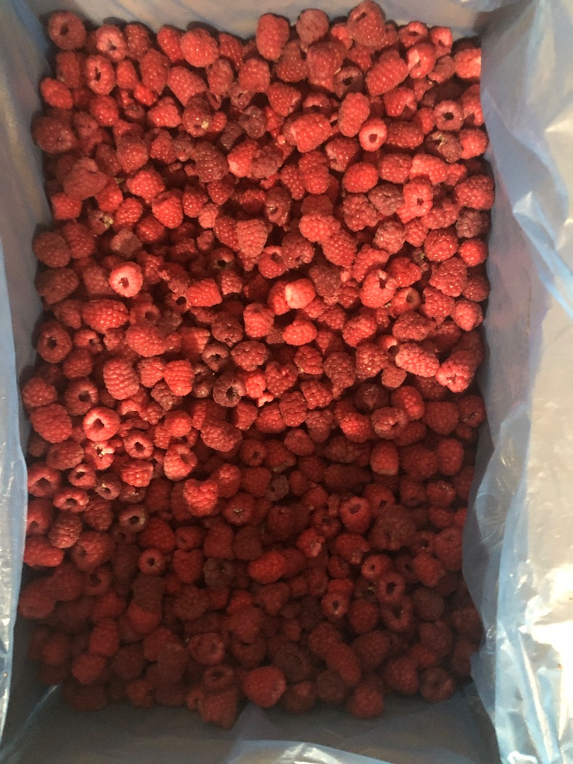 Sprzedam maliny mrożony 80/20 całych