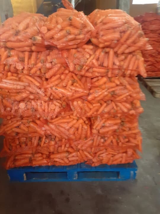 Sprzedam marchew odpadową po 40 gr