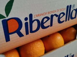 g U. Arancia di Ribera odnosi się wyłącznie do
